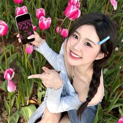 宋家皇朝